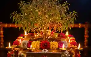 Decorated Tulsi plant during Tulsi Vivah ceremony